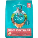 Purina ONE Tender Selects Blend Dry Cat Food